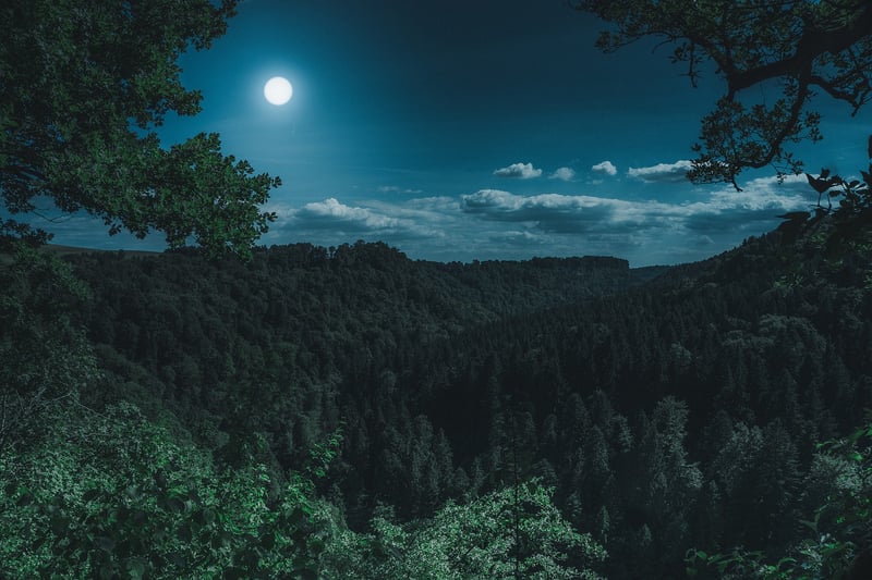 Moonlit Accessories